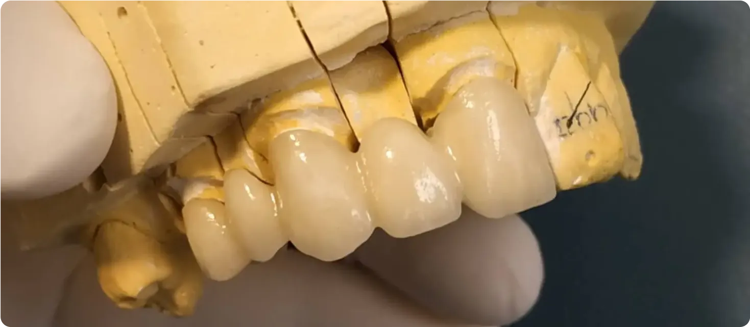 Espacio Dental — Bilog en uso